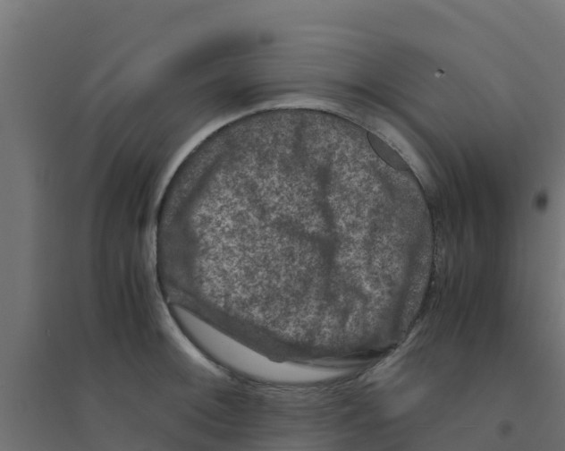 X0000094181092200711241547