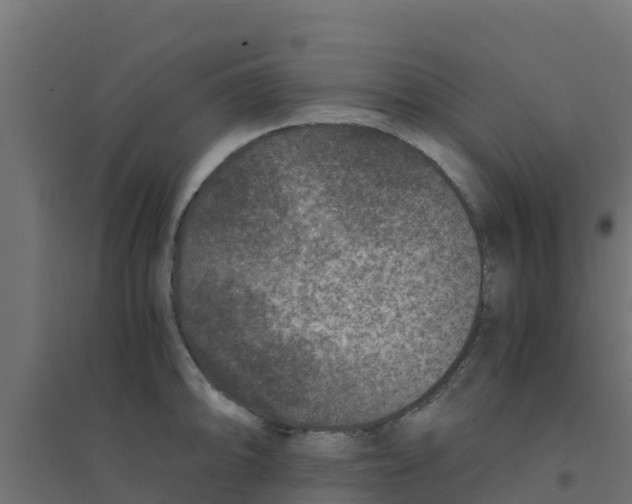 X0000094181094200711241547