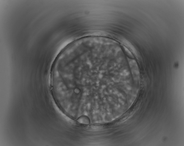 X0000094181095200711241547