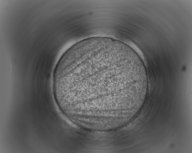 X0000094181096200711241547