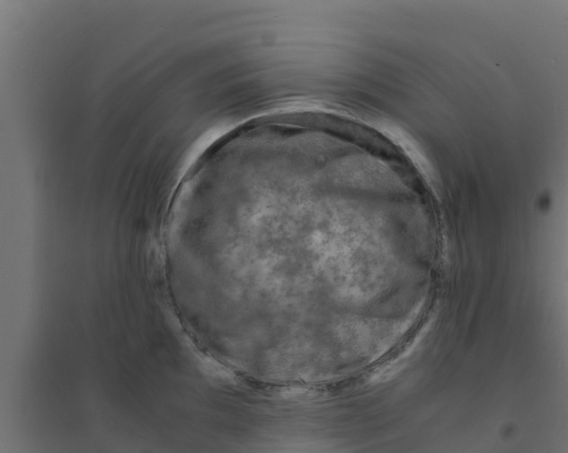 X0000094181097200711241547