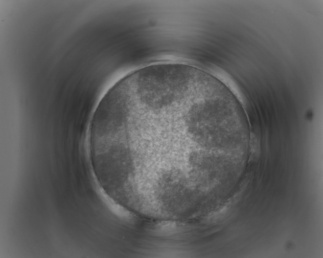X0000094181098200711241547