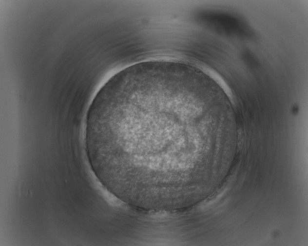 X0000094181099200711241547