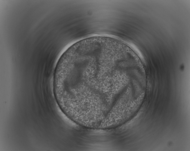 X0000094181100200711241547
