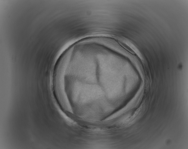 X0000094181101200711241547