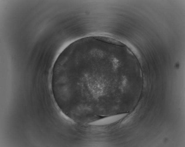 X0000094181102200711241547