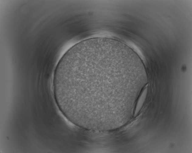 X0000094181103200711241547
