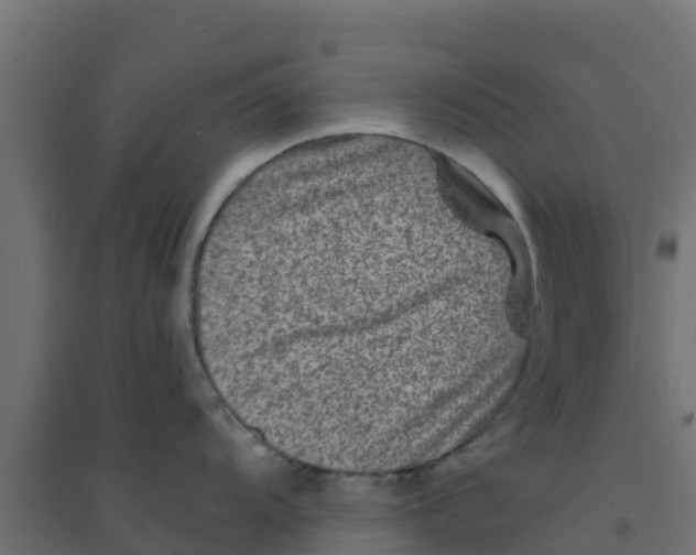 X0000094181104200711241547