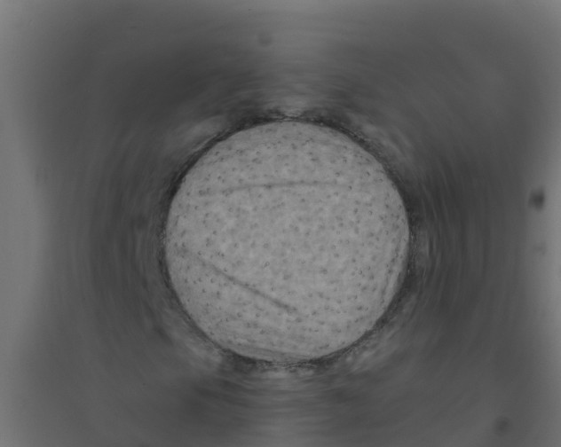 X0000094181105200711241546