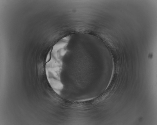 X0000094181106200711241546