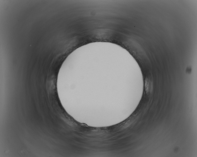 X0000094181107200711241547