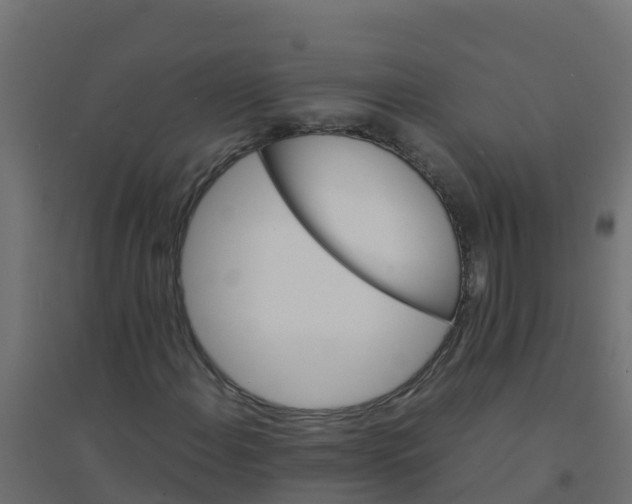 X0000094181108200711241547