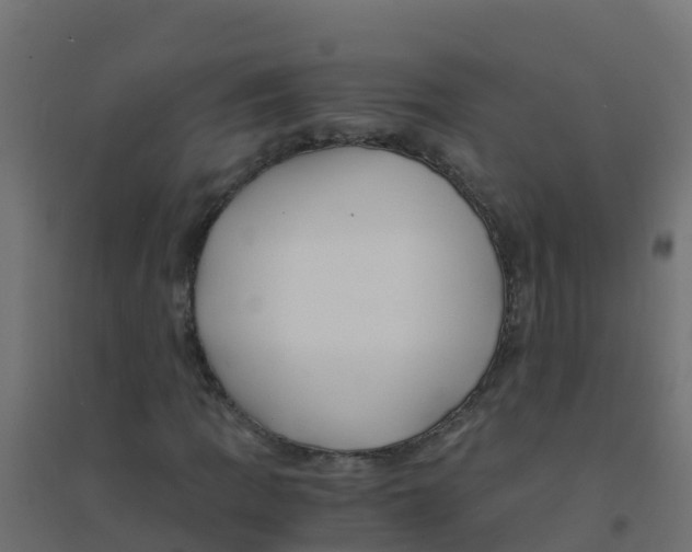 X0000094181109200711241547
