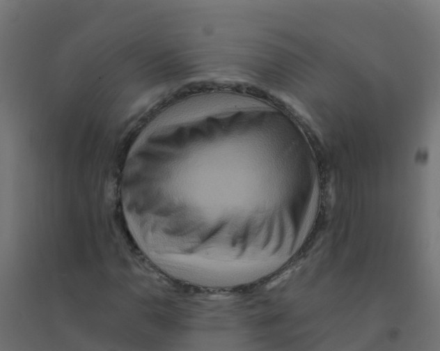 X0000094181110200711241547