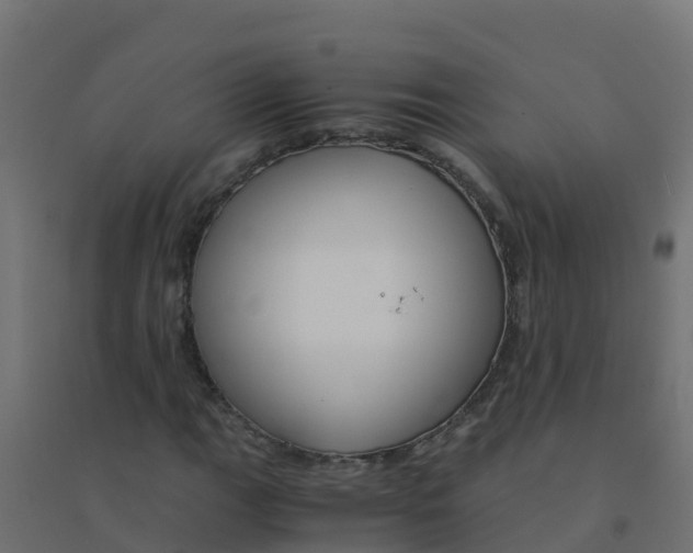 X0000094181111200711241547