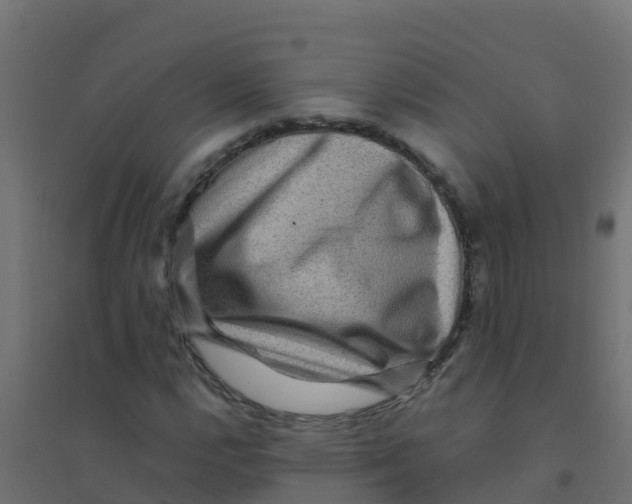 X0000094181112200711241547