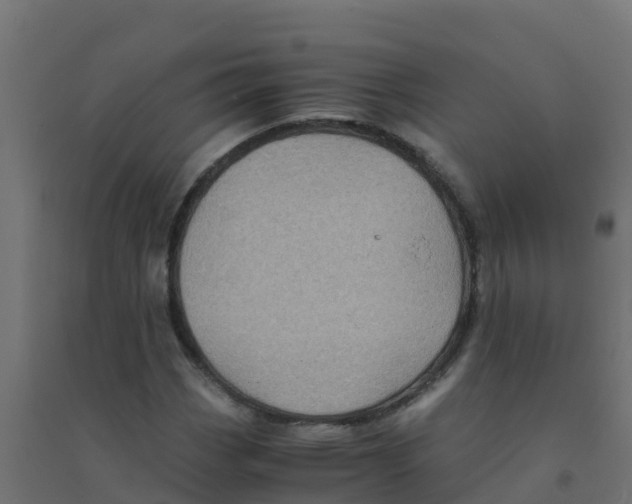 X0000094181113200711241547