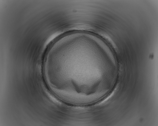 X0000094181114200711241547