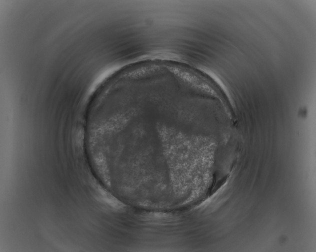 X0000094181115200711241547