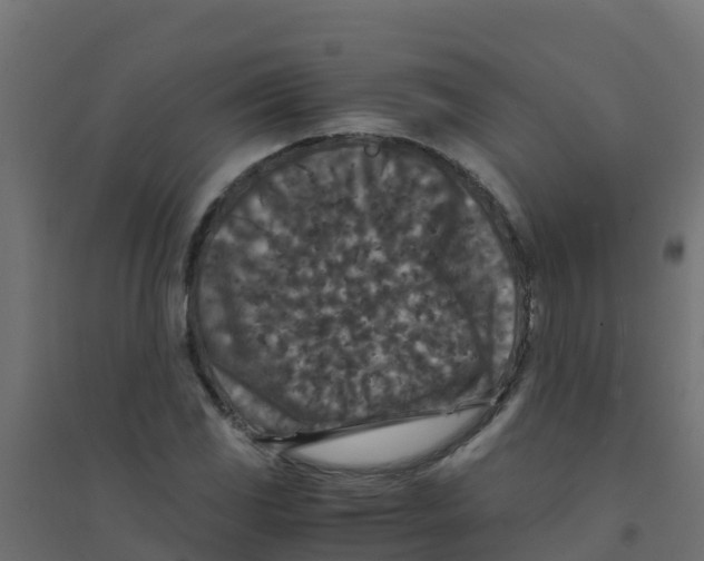 X0000094181117200711241547
