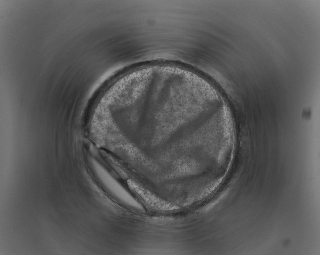 X0000094181118200711241547