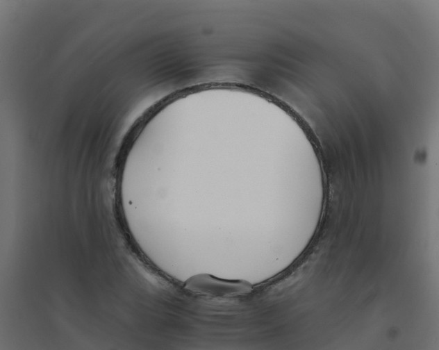 X0000094181119200711241547