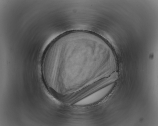 X0000094181120200711241547