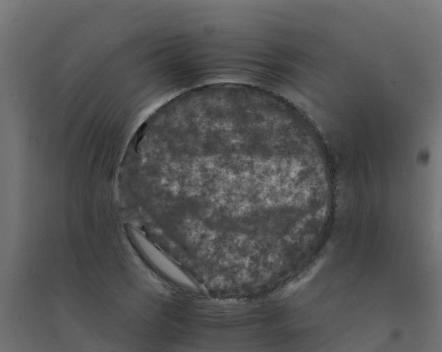 X0000094181121200711241547