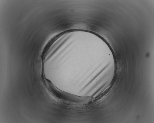 X0000094181123200711241547