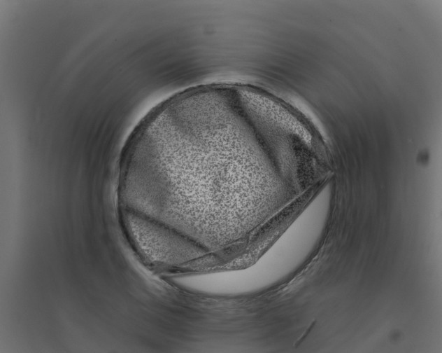X0000094181124200711241547