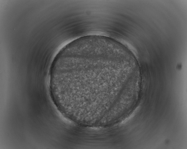 X0000094181125200711241547