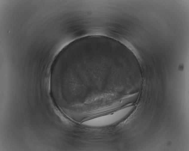 X0000094181127200711241547
