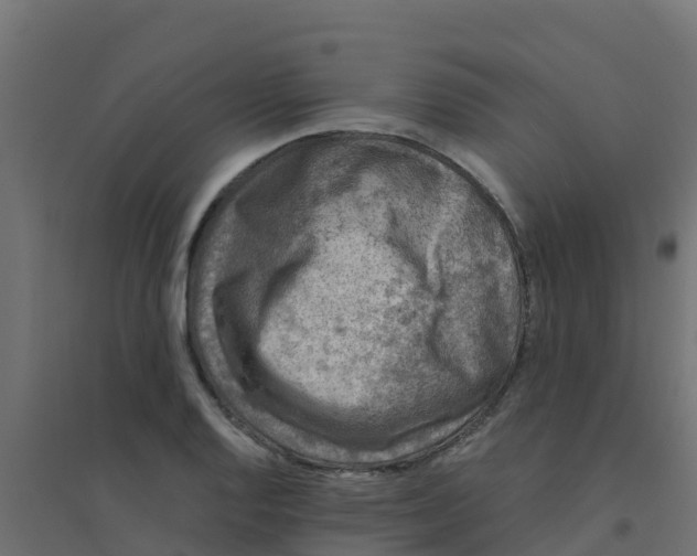 X0000094181128200711241547