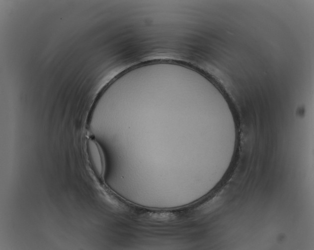 X0000094181129200711241547