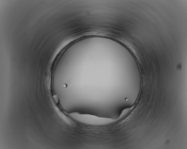 X0000094181131200711241547