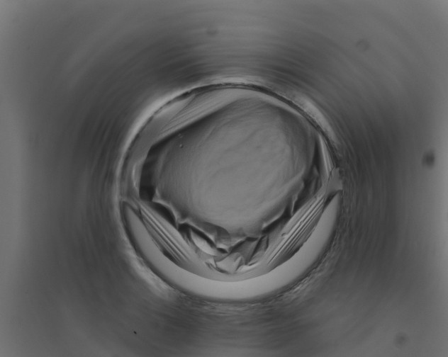 X0000094181132200711241547