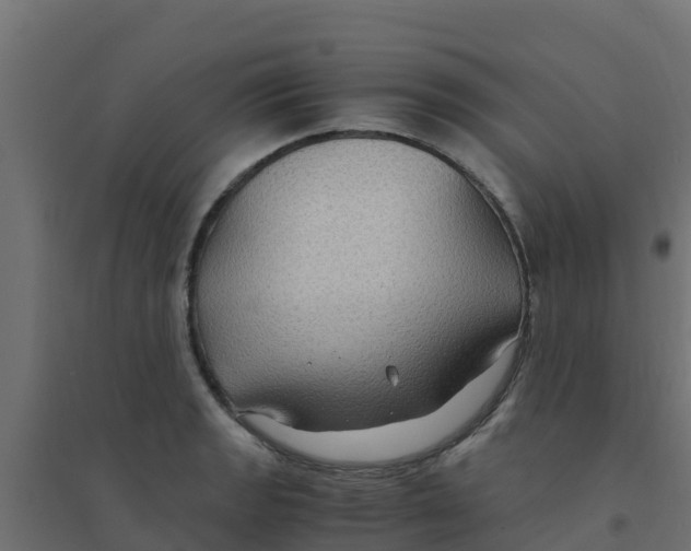 X0000094181133200711241547