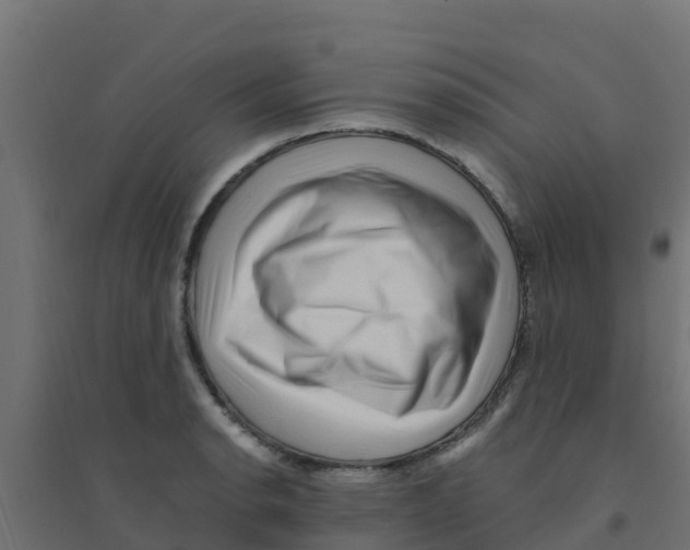 X0000094181134200711241547