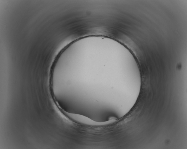 X0000094181135200711241547