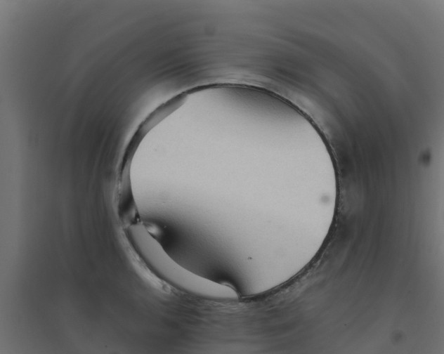 X0000094181136200711241547