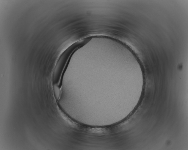 X0000094181137200711241547