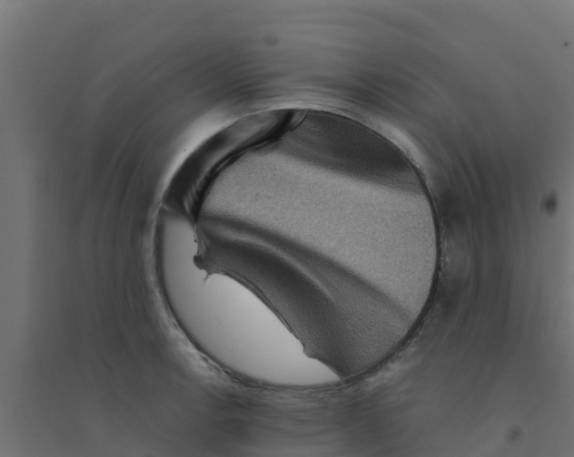 X0000094181138200711241547