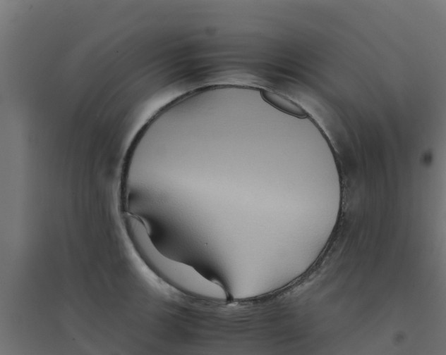 X0000094181139200711241547