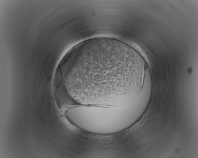 X0000094181140200711241547