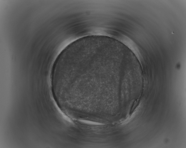 X0000094181141200711241547