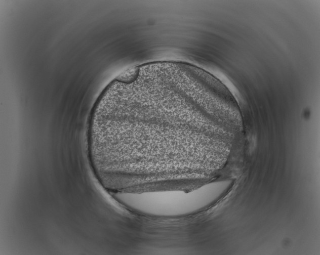X0000094181142200711241547