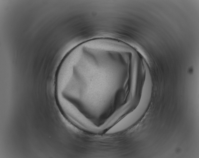 X0000094181143200711241547