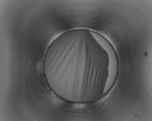 X0000094181145200711241547