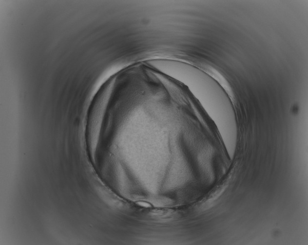 X0000094181146200711241547
