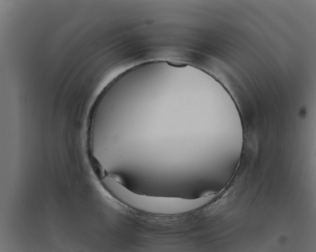 X0000094181147200711241547